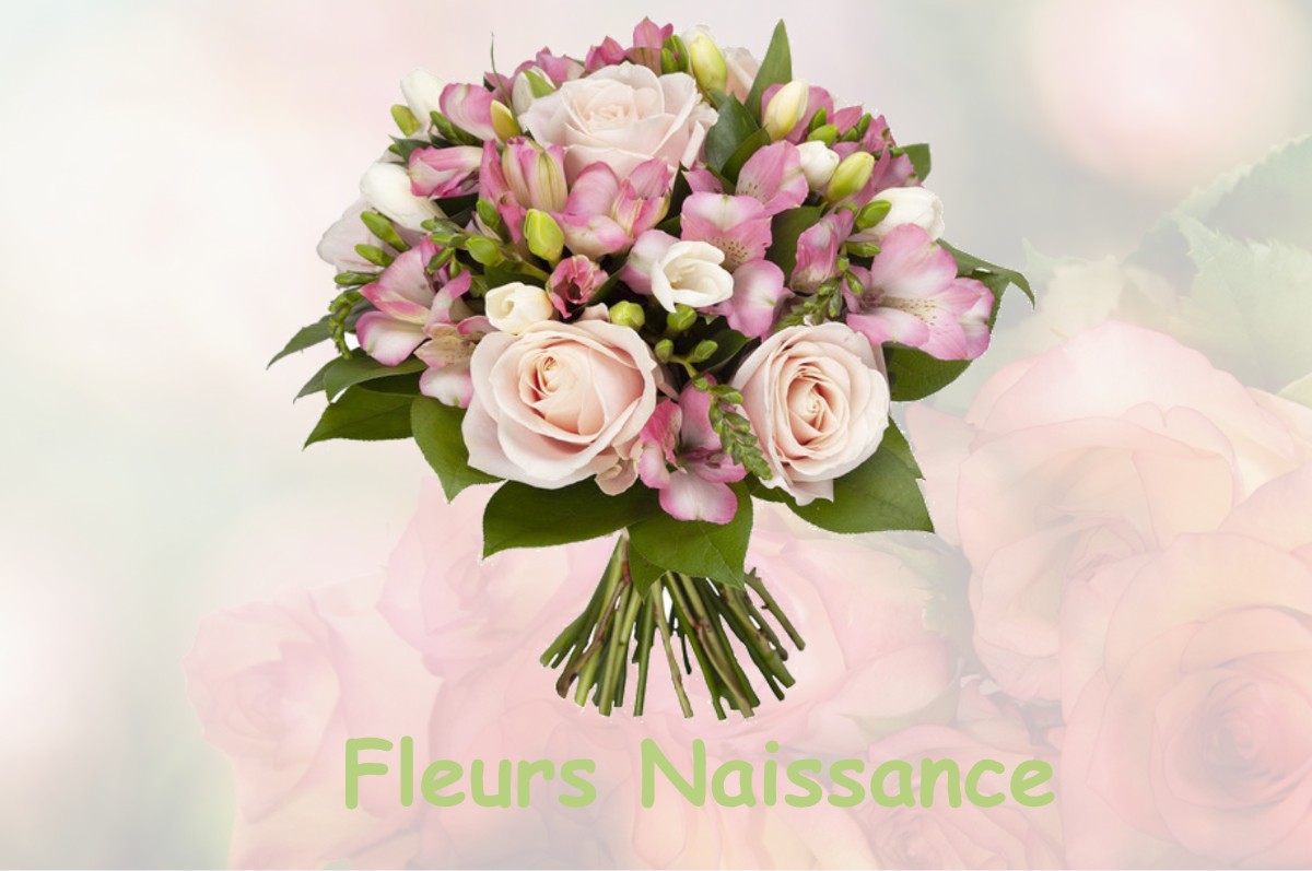 fleurs naissance AILLANT-SUR-MILLERON