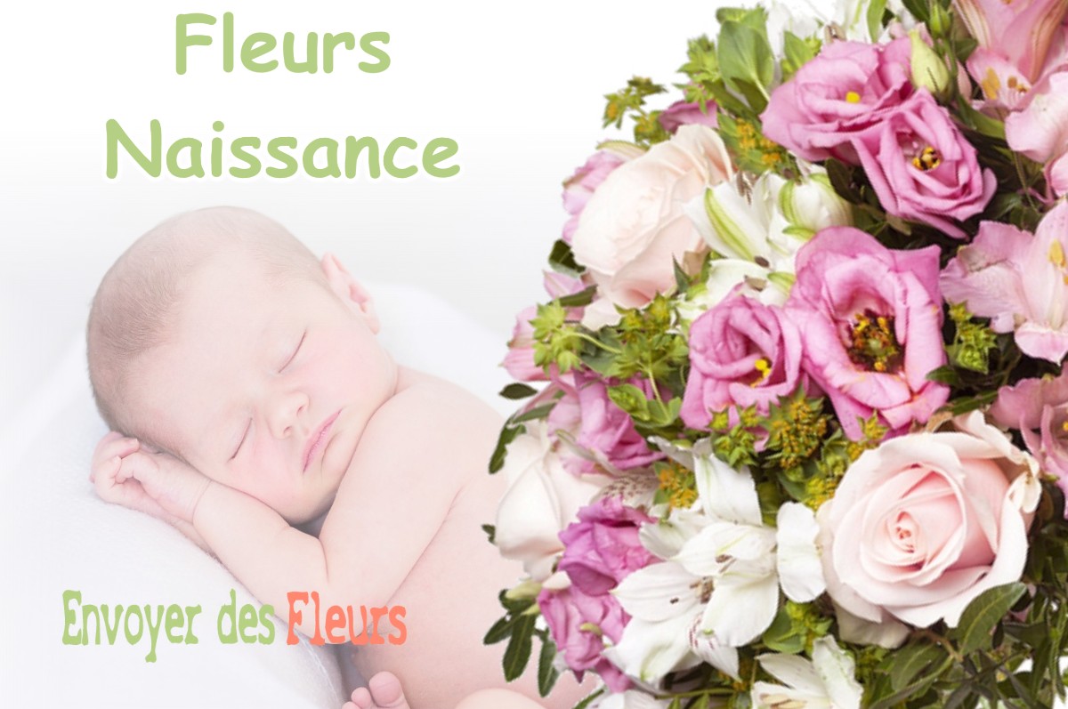 lIVRAISON FLEURS NAISSANCE à AILLANT-SUR-MILLERON